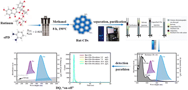 Graphical abstract: Facile hydrothermal synthesis of N-doped fluorescent carbon dots for selective detection of insecticide parathion