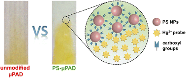Graphical abstract: Clarity improvement of the discoloration boundary and detection of Hg2+ ions by using a polystyrene nanoparticle-modified paper-based microdevice