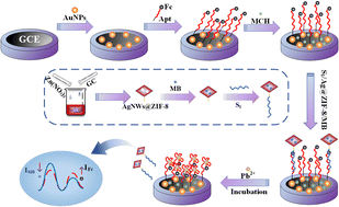 Graphical abstract: A ratiometric electrochemical sensor for detecting lead in fish based on the synergy of semi-complementary aptamer pairs and Ag nanowires@zeolitic imidazolate framework-8