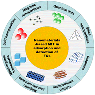 Graphical abstract: Application of molecular imprinting technology based on new nanomaterials in adsorption and detection of fluoroquinolones