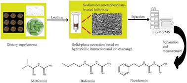 Graphical abstract: Sodium hexametaphosphate-treated halloysite based solid-phase extraction of biguanides from dietary supplements
