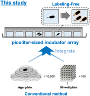 Graphical abstract: Arrayed labeling-free cultivation and growth evaluation from a single microorganism