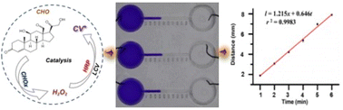 Graphical abstract: Point of care testing (POCT) of cholesterol in blood serum via a moving reaction boundary electrophoresis titration chip