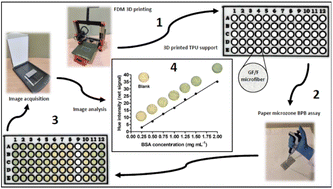 Graphical abstract: Paper microzone assay embedded on a 3D printed support for colorimetric quantification of proteins in different biological and food samples
