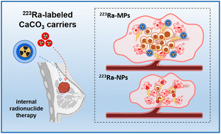 Graphical abstract: Size-dependent therapeutic efficiency of 223Ra-labeled calcium carbonate carriers for internal radionuclide therapy of breast cancer