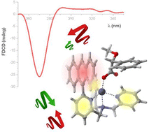 Graphical abstract: Fluorescence detected circular dichroism (FDCD) of a stereodynamic probe