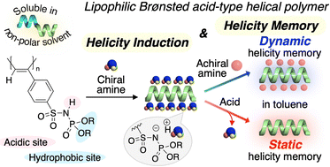 Graphical abstract: Helicity induction and memory of a lipophilic Brønsted acid-type poly(phenylacetylene) in non-polar solvents
