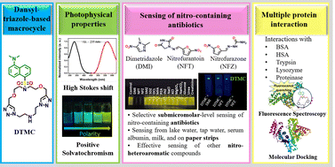 Graphical abstract: Dansyl-triazole-based fluorescent macrocycle for selective detection of nitro-antibiotic drugs and protein interaction