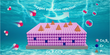 Graphical abstract: Modulation of bulk and surface electronic structures for oxygen evolution by Cr, P co-doped Co3S4