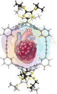 Graphical abstract: Recent update on the electroactive oligopyrrolic macrocyclic hosts with a Bucky-ball heart