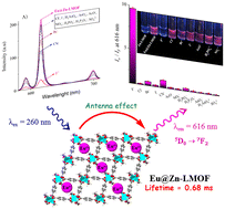 Graphical abstract: Sensitive luminescent chemosensing of fluoride based on Eu-doped Zn-LMOF in aqueous media: structural and spectroscopic studies