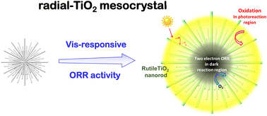 Graphical abstract: Visible light-responsive radial TiO2 mesocrystal photocatalysts for the oxidation of organics