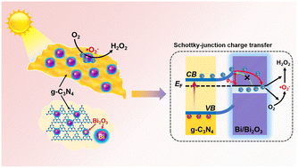 Graphical abstract: Schottky junction with Bi/Bi2O3 core–shell nanoparticle modified g-C3N4 for boosting photocatalytic H2O2 evolution from pure water