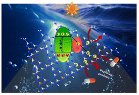 Graphical abstract: Photocatalytic activity towards antibiotic degradation and H2 evolution by development of a Z-scheme heterojunction constructed from 1T/2H-MoS2 nanoflowers embellished on BCN nanosheets