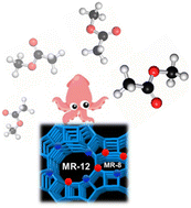 Graphical abstract: Mechanistic insights into methanol carbonylation to methyl acetate over an efficient organic template-free Cu-exchanged mordenite