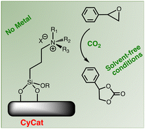 Graphical abstract: Towards metal-free supported quaternary ammonium halide catalysts for an optimized cycloaddition of CO2 onto styrene oxide