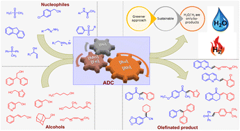 Graphical abstract: Olefins from alcohols via catalytic acceptorless dehydrogenation coupling reactions