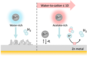 Graphical abstract: Creating water-in-salt-like environment using coordinating anions in non-concentrated aqueous electrolytes for efficient Zn batteries
