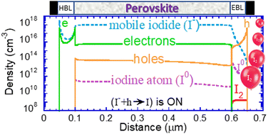 Graphical abstract: Perovskite ionics – elucidating degradation mechanisms in perovskite solar cells via device modelling and iodine chemistry
