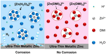 Graphical abstract: A corrosion-free zinc metal battery with an ultra-thin zinc anode and high depth of discharge