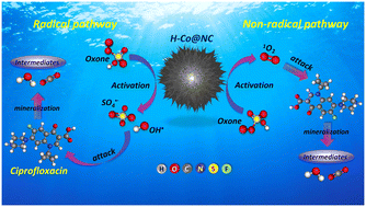 Graphical abstract: Emerging investigator series: enhancing the degradation of ciprofloxacin in water using Oxone activated by urchin-like cubic and hollow-structured cobalt@N-doped carbon prepared by etching-engineering: a comparative study with mechanistic and eco-toxic assessments