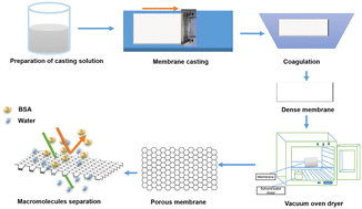 Graphical abstract: Fabrication of a polyethersulfone/polyethyleneimine porous membrane for sustainable separation of proteins in water media