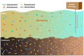 Graphical abstract: Nanobubbles can modulate microbial communities and sedimentary ecosystem during the treatment of pond water