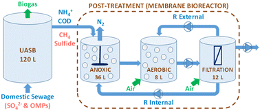 Graphical abstract: Impact of dissolved sulfide on a hybrid membrane bioreactor treating the effluent of a mainstream up-flow anaerobic sludge blanket