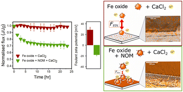 Graphical abstract: Influence of colloidal iron oxide and natural organic matter fouling on nanofiltration membrane performance: role of feed composition and membrane properties