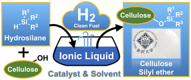 Graphical abstract: Dehydrogenative silylation of cellulose in ionic liquid