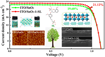 Graphical abstract: Performance enhancement of perovskite solar cells by doping non-toxic multifunctional natural sodium lignosulfonate into SnO2