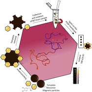 Graphical abstract: Detection of metallothionein as a melanoma marker by LA-ICP-MS combined with sample pretreatment by using magnetic particles coated with an imprinted polymeric layer