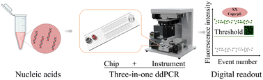 Graphical abstract: A three-in-one microfluidic droplet digital PCR platform for absolute quantitative analysis of DNA