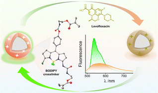 Graphical abstract: Polymerizable BODIPY probe crosslinker for the molecularly imprinted polymer-based detection of organic carboxylates via fluorescence