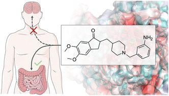 Graphical abstract: Amine-containing donepezil analogues as potent acetylcholinesterase inhibitors with increased polarity