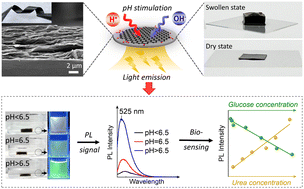 Graphical abstract: A nanofluidic sensing platform based on robust and flexible graphene oxide/chitosan nanochannel membranes for glucose and urea detection