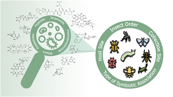 Graphical abstract: The insect microbiome is a vast source of bioactive small molecules