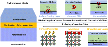Graphical abstract: Anti-corrosion strategy to improve the stability of perovskite solar cells