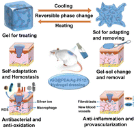 Graphical abstract: A cooling-driven self-adaptive and removable hydrogel coupled with combined chemo-photothermal sterilization for promoting infected wound healing