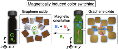 Graphical abstract: A magnetically responsive photonic crystal of graphene oxide nanosheets