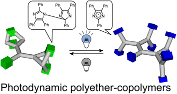 Graphical abstract: Synthesis of photodynamic intramolecularly crosslinked polyether-copolymers in-chain functionalized with hexaarylbiimidazoles