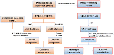Graphical abstract: Identification of chemical components and rat serum metabolites in Danggui Buxue decoction based on UPLC-Q-TOF-MS, the UNIFI platform and molecular networks