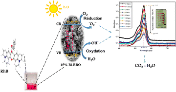 Graphical abstract: Bi-doped BaBiO3 (x = 0%, 5%, 10%, 15%, and 20%) perovskite oxides by a sol–gel method: comprehensive biological assessment and RhB photodegradation