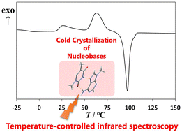 Graphical abstract: Molecular aggregation by hydrogen bonding in cold-crystallization behavior of mixed nucleobases analyzed by temperature-controlled infrared spectroscopy