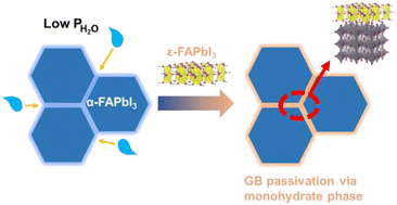Graphical abstract: Stable FAPbI3 hydrate structure by kinetics negotiation for solar cells