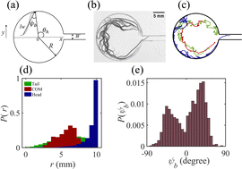Graphical abstract: Escape dynamics of confined undulating worms