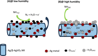 Graphical abstract: Preparation and NH3 gas-sensing properties of Ag/β-AgVO3 nanorods