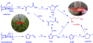 Graphical abstract: Catalytic production of 1,4-pentanediol from lignocellulosic biomass