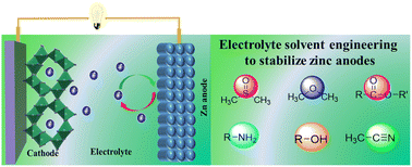 Graphical abstract: Progress in stabilizing zinc anodes for zinc-ion batteries using electrolyte solvent engineering