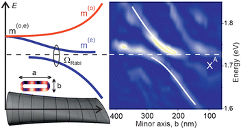 Graphical abstract: Direct observation of split-mode exciton-polaritons in a single MoS2 nanotube
